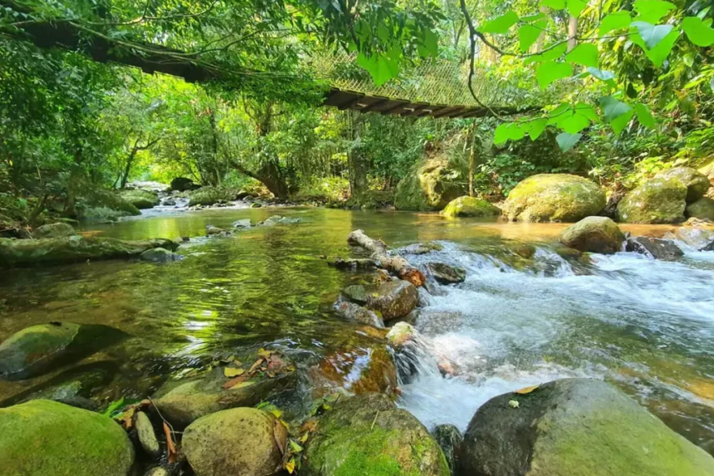 Jipe Castelhanos - Parque estadual de ilhabela-3